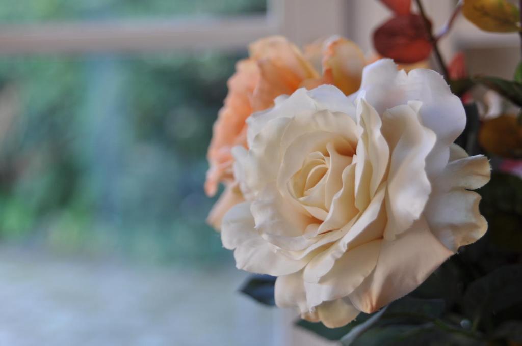 Grange De La Herde Bed & Breakfast Camon  ห้อง รูปภาพ